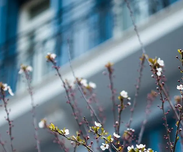 Bahar Boutique Tessalónica